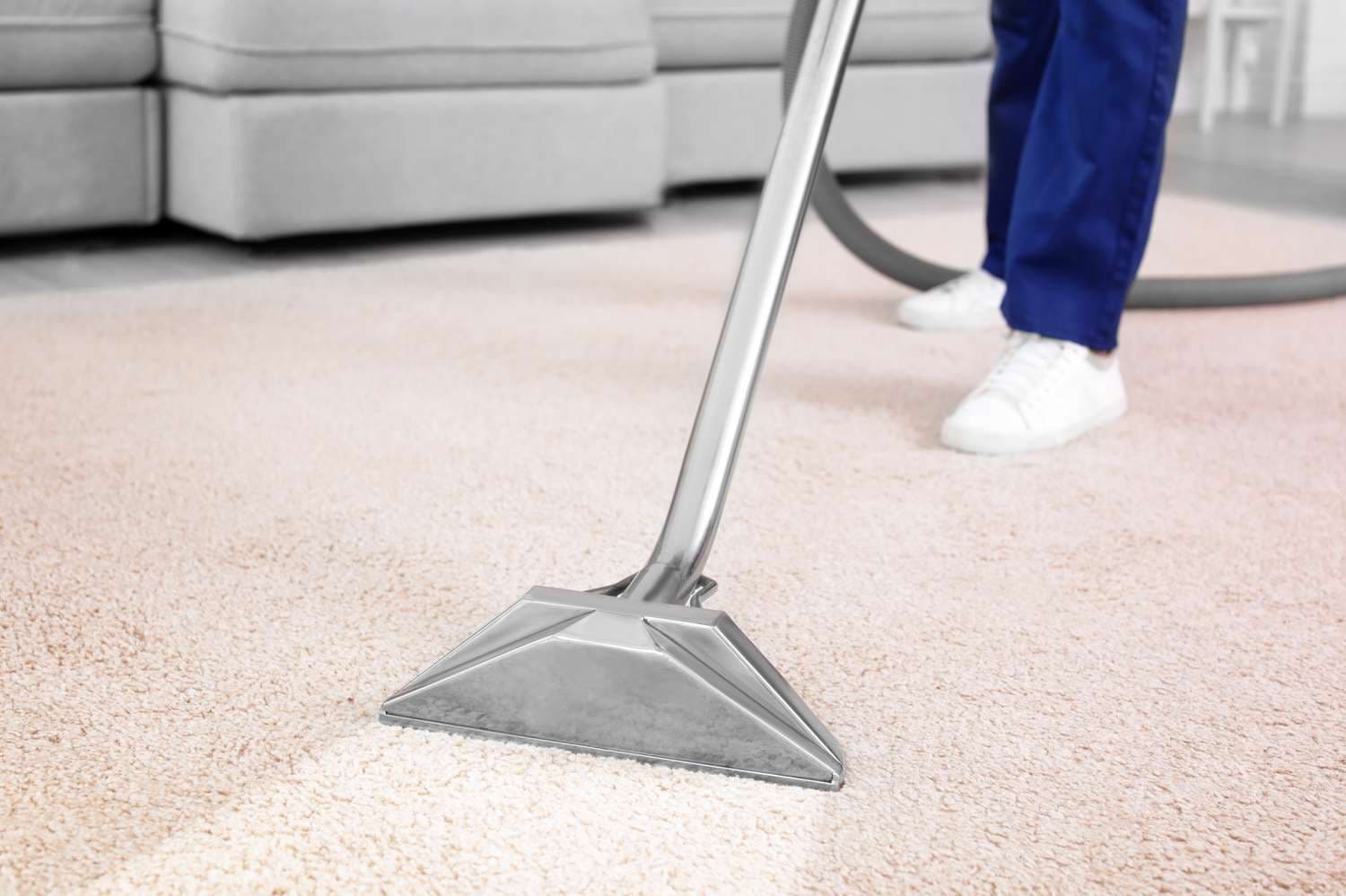 Deep Carpet Cleaning Carmichael CA Stain Removal Experts